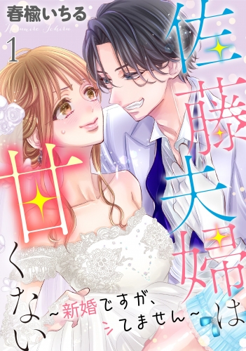 佐藤夫婦は甘くない～新婚ですが、シてません～ 1