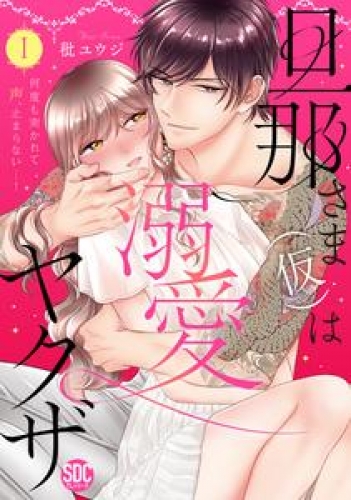 旦那さま(仮)は溺愛ヤクザ 何度も突かれて声、止まらない…！【コミックス版】【コミックス版限定特典付き】 1巻