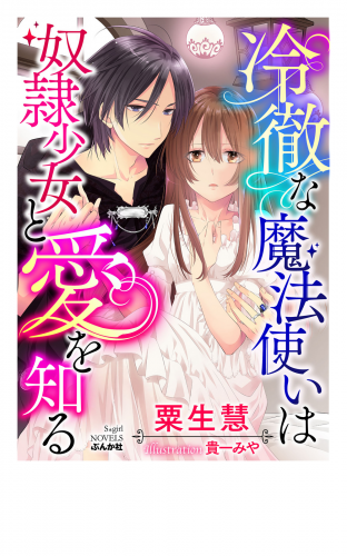 冷徹な魔法使いは奴隷少女と愛を知る【イラスト入り】