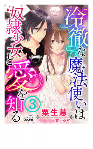 冷徹な魔法使いは奴隷少女と愛を知る【イラスト入り】【第3話】