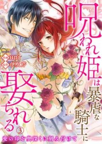 呪われ姫は暴虐な騎士に娶られる～愛の印を奥深くに刻み付けて～3