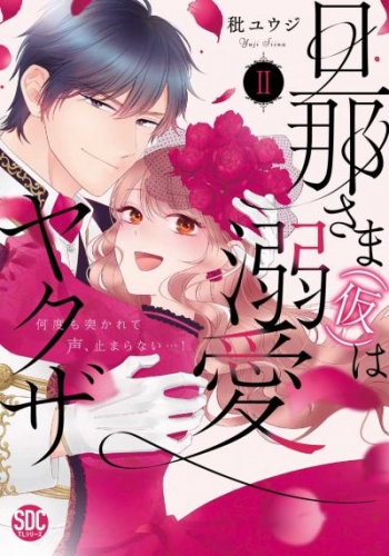 旦那さま(仮)は溺愛ヤクザ 何度も突かれて声、止まらない…！【コミックス版】【電子版限定特典付き】 2巻