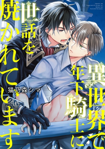 異世界で年下騎士に世話を焼かれています 【電子限定おまけ付き】