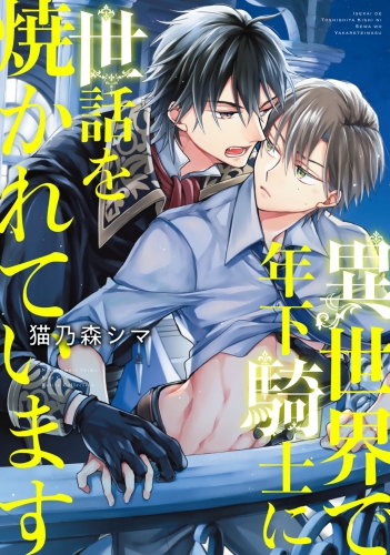 異世界で年下騎士に世話を焼かれています 【電子限定カラー収録＆おまけ付き】