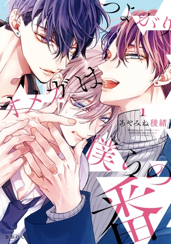 あやみね稜緒『つよがりオメガは僕らの番』4巻 アニメイト特典