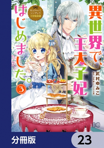 なんちゃってシンデレラ 王宮陰謀編　異世界で、王太子妃はじめました。【分冊版】　23