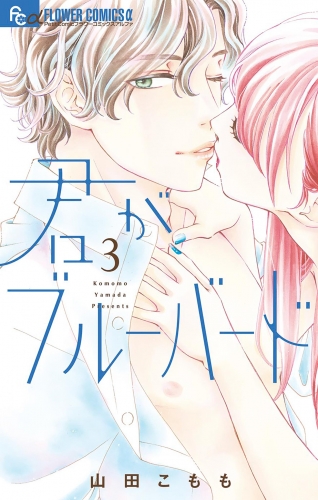 君がブルーバード 3巻
