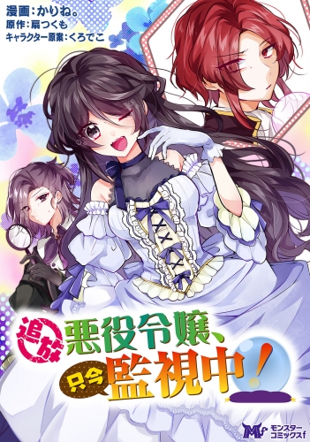 追放悪役令嬢、只今監視中！（コミック） 分冊版 3巻