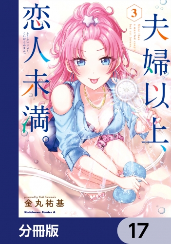 夫婦以上、恋人未満。【分冊版】　17