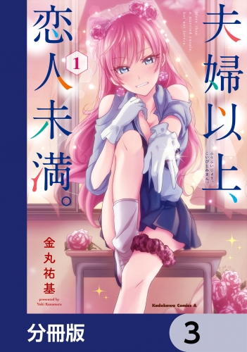 夫婦以上、恋人未満。【分冊版】　3