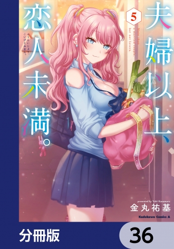 夫婦以上、恋人未満。【分冊版】　36