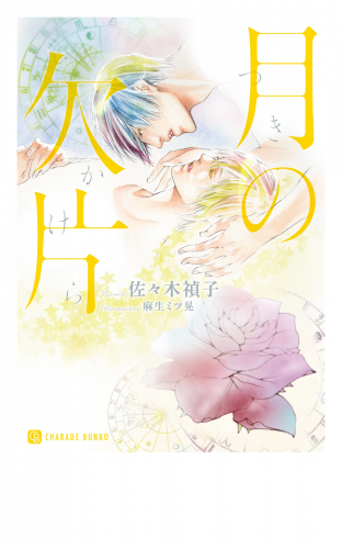 月の欠片