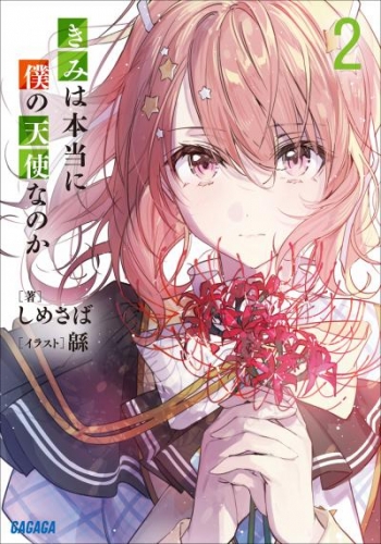 きみは本当に僕の天使なのか ２ | アニメイトブックストア 漫画
