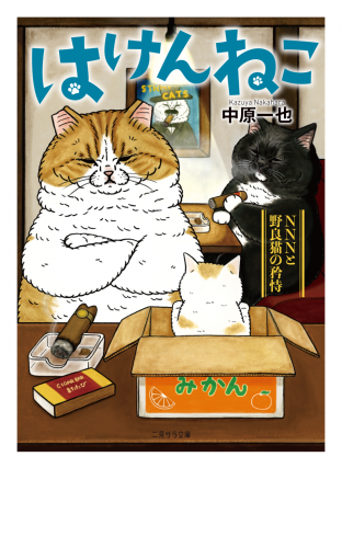 はけんねこ～NNNと野良猫の矜恃～