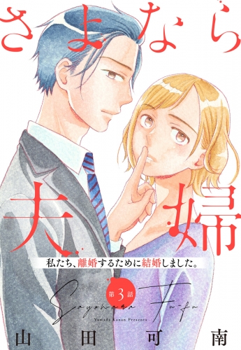 【単話売】さよなら夫婦 3