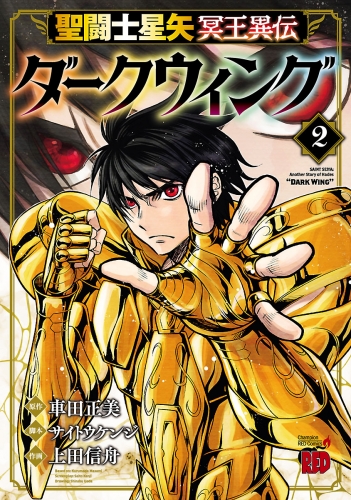 聖闘士星矢 冥王異伝 ダークウィング 2巻