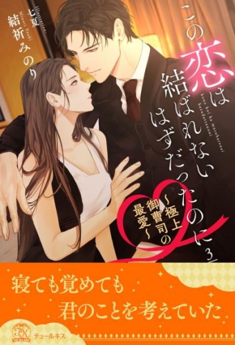 この恋は結ばれないはずだったのに　～極上御曹司の最愛～【３】