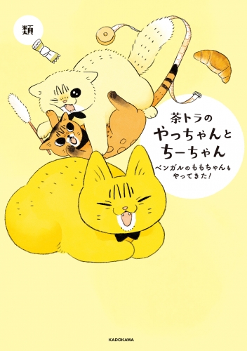 茶トラのやっちゃんとちーちゃん　ベンガルのももちゃんもやってきた！