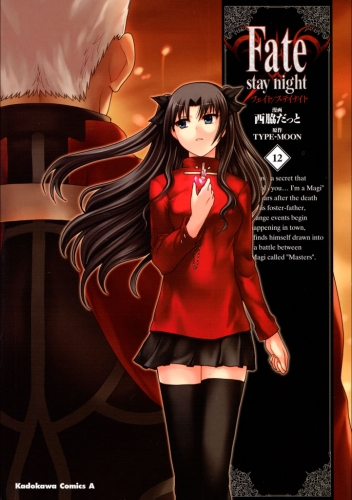 Fate/stay night(12)