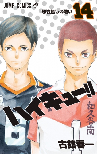 ハイキュー!! カラー版 14