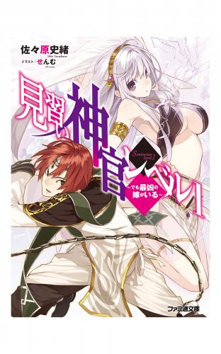 見習い神官レベル1　～でも最凶の嫁がいる～