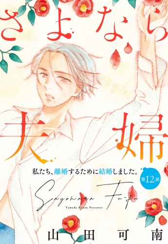 【単話売】さよなら夫婦 12