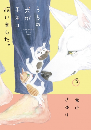 うちの犬が子ネコ拾いました。 5巻