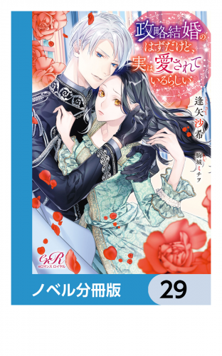 政略結婚のはずだけど、実は愛されているらしい【ノベル分冊版】　29