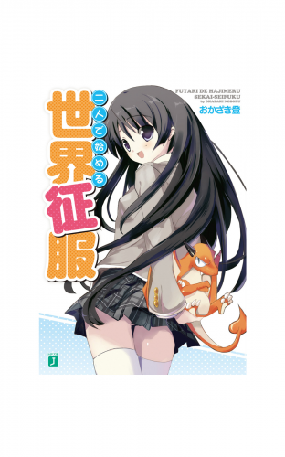 二人で始める世界征服