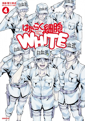 はたらく細胞ＷＨＩＴＥ（４）