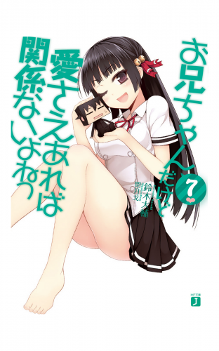 お兄ちゃんだけど愛さえあれば関係ないよねっ 7