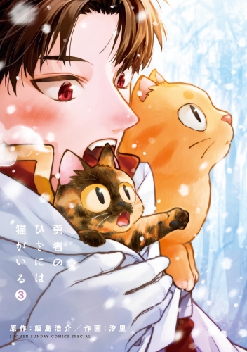 勇者のひざには猫がいる 3巻