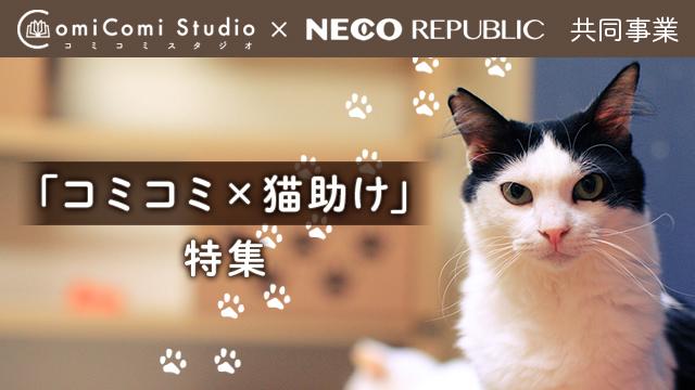 コミコミスタジオ×NECO REPUBLIC 共同事業「コミコミ×猫助け」特集