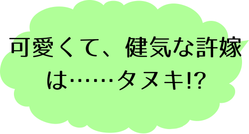 姫さま狸の恋算用 1巻のガタ！のコメント