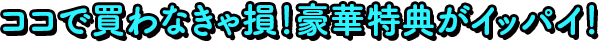 ココで買わなきゃ損!豪華特典がイッパイ!